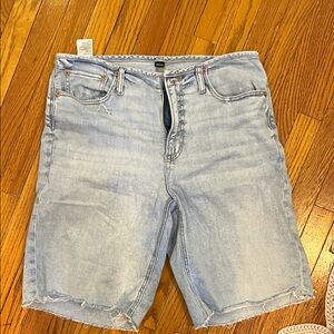 American Eagle Outfitters Light Blue Jean Shorts